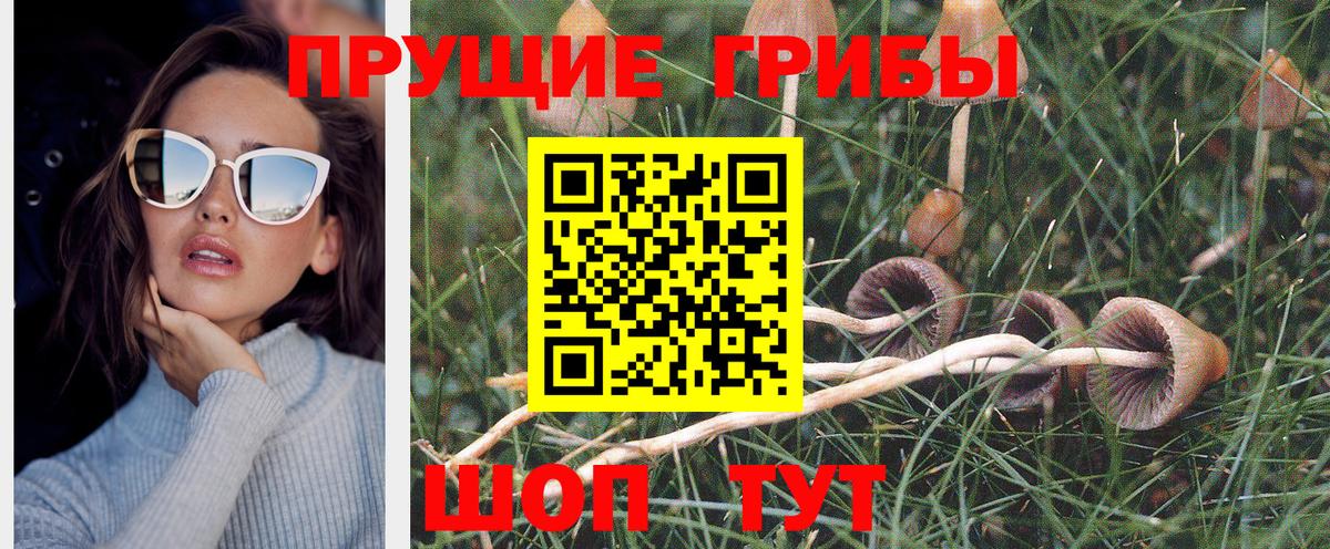 Каспийск  Галлюциногенные грибы Cubensis  Вход с VPN 