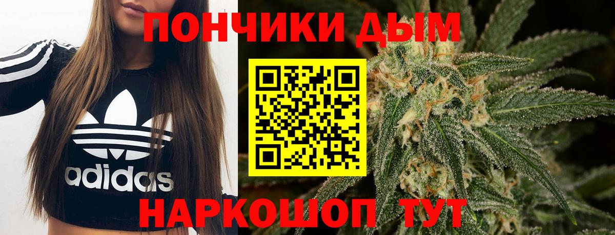 Конопля Amnesia  Конопля гибрид  Каспийск  Канабис THC 21%  Вход с VPN  Каннабис индика 